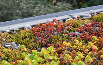 the cost of Southwater Street green roof installation