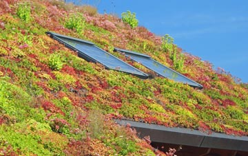 Southwater Street living roof systems