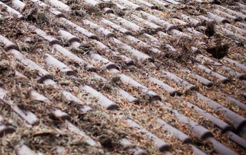 Southwater Street roof cleaning companies